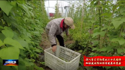 房县：不误农时全面推进秋冬农业生产