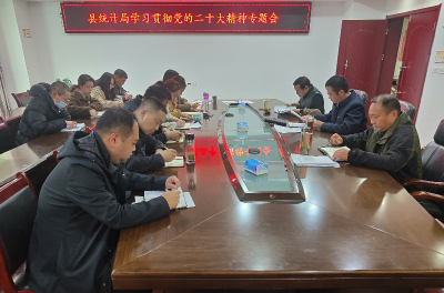 县统计局：召开学习贯彻党的二十大精神专题会