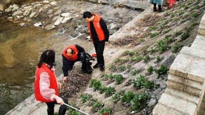 窑淮镇窑淮学校积极开展河道垃圾清理活动