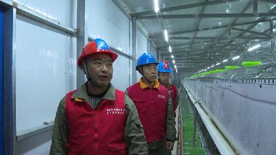 白鹤镇：供电服务有保障  特色产业更兴旺
