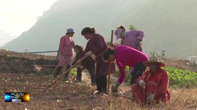 大木厂镇高船村：全力建设蔬菜种植专业村