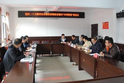 王玲到窑淮镇宣讲党的二十大精神暨召开“共同缔造”推进会