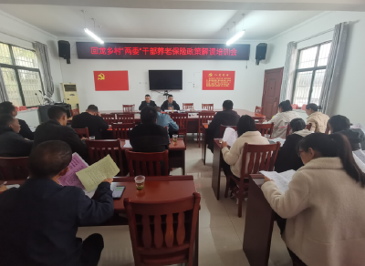 回龙乡：开展村“两委”干部参加企业职工养老保险培训会议
