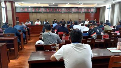 九道乡：清廉建设为乡村振兴赋能增效