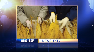 房县新闻20221109