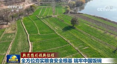 【新思想引领新征程】全方位夯实粮食安全根基 端牢中国饭碗