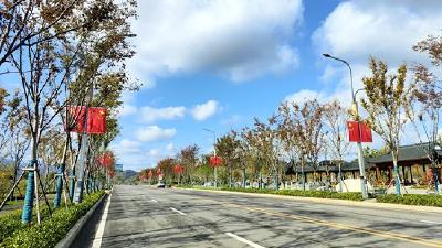 吉甫路绿化改造提升城市“颜值”