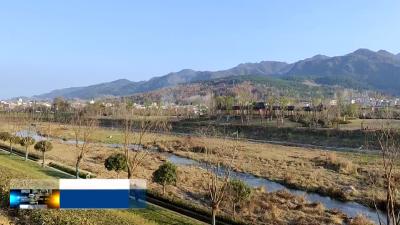 诗经大道绿化工作稳步推进