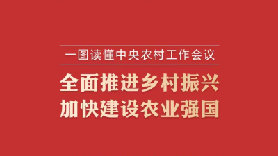 一图读懂中央农村工作会议 全面推进乡村振兴 加快建设农业强国