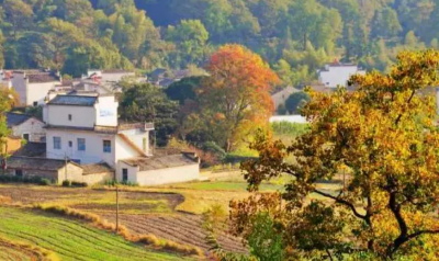 化龙堰镇：以旅游促经济发展 助力乡村振兴