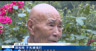 【我们的榜样】 郑相枝：不死继续打