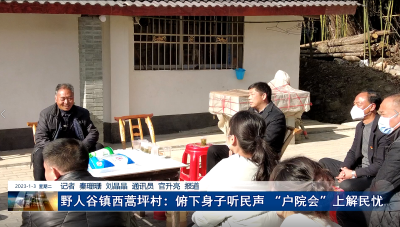 野人谷镇西蒿坪村：俯下身子听民声 “户院会”上解民忧