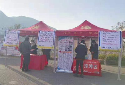 白鹤镇人社中心 为返乡大学生递好“橄榄枝”