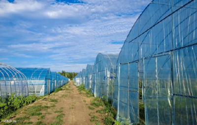 代表委员回基层