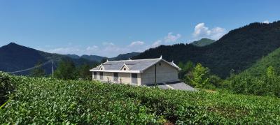 房县力争经济发展主要目标实现“四个上台阶” 全力建设绿色低碳循环发展示范县