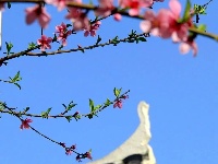 春日寻游│房县的春日暖阳，藏在这条古街的芳华盎然间