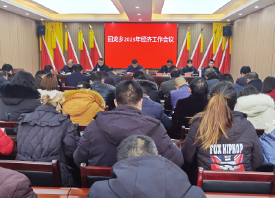 回龙乡：召开2023年经济工作会议