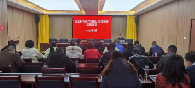 【能力作风建设在行动】回龙乡：开展党务干部能力作风建设主题党日活动