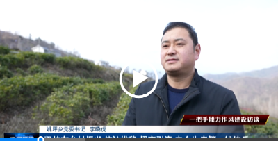 【“一把手”能力作风建设访谈】姚坪乡 回龙乡 野人谷镇