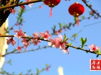 春日寻游│房县的春日暖阳，藏在这条古街的芳华盎然间