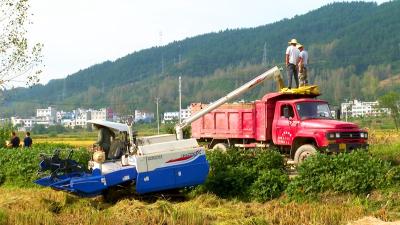 房县农经中心：“三抓三促”全力谱写能力作风建设新篇章