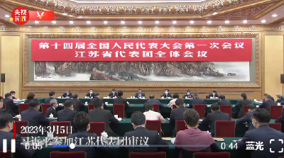 独家视频丨习近平参加江苏代表团审议