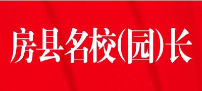 扎根幼教沃土  绽放别样芳华——房县幼儿园李敏先进事迹