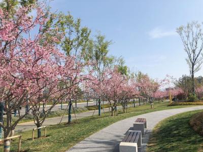 【能力作风建设在行动】房县司法局：“四抓四促”强作风，“复议为民”促和谐