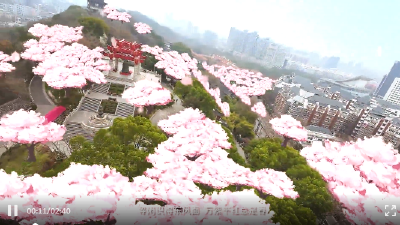 跟着总书记，寻找新时代最美春天​！