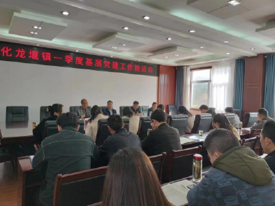 化龙堰镇召开2023年第一季度基层党建工作推进会