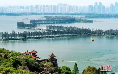 梁子湖用“生态全席”拴住百万“旅者”的胃——解码东亚-澳大利西亚候鸟迁飞通道上的鄂州“五星服务”