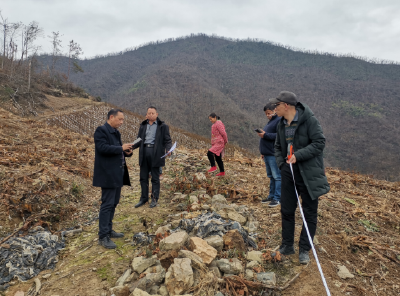 【能力作风建设在行动】房县林业行政执法大队：坚持科技赋能 守护绿水青山