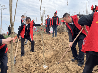 县司法局：植树添新绿 不负好春光