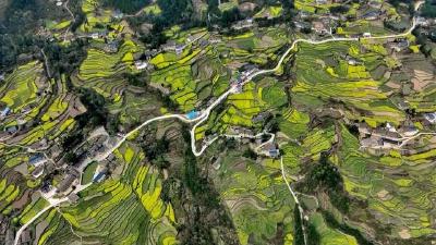 经纬线·写进中央一号文件的“菜篮子”，如何守护热气腾腾的中国？