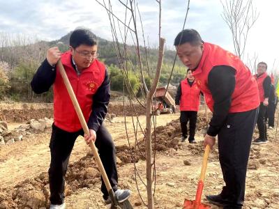 化龙堰镇：开展义务植树“绿满化龙”行动