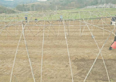 【能力作风建设在行动】尹吉甫镇：发展庭院经济 助力群众增收