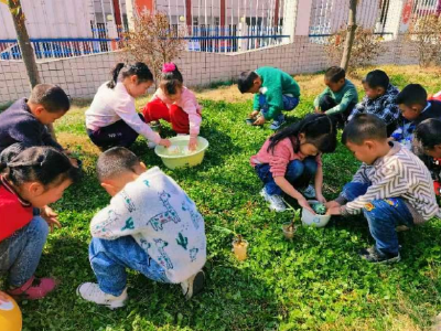 沙河乡中心幼儿园：开展植树节主题活动