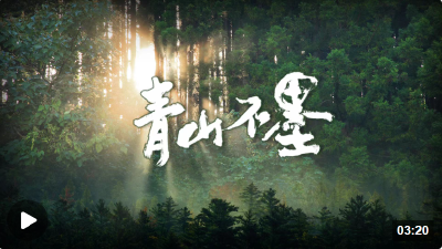 时政微视频丨青山不墨  