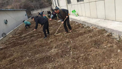 九道乡八里小学：走进基地当课堂 快乐劳动学知识