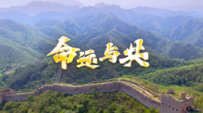 微视频 | 命运与共