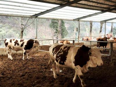 延伸种养殖链条 绘就乡村振兴新画卷