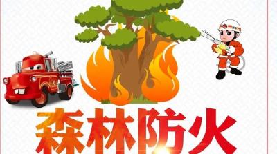 青峰镇：“三步走”筑牢森林防火“安全网”