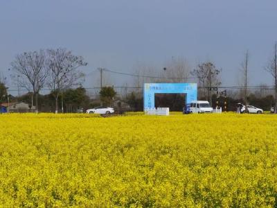 2023湖北最美油菜花海推介名单公布