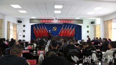 中国板党之乡恩施板桥镇：一株党参解锁致富密码