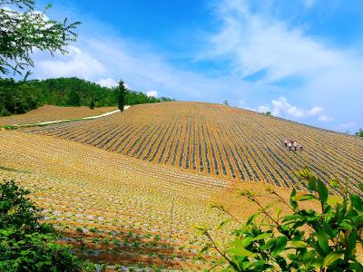 万峪河乡人社中心“能力作风建设”稳步提升