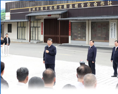 热解读｜来到“荔枝之乡” 总书记再次走进合作社有何深意？