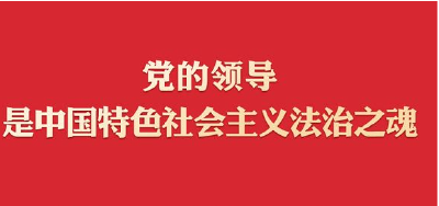 学法时习之 学习习近平法治思想｜坚持党对全面依法治国的领导