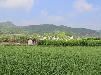 相约房县化龙堰镇上湾村，享一段“幸福慢时光”…
