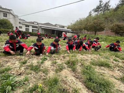 耕耘知艰辛，劳动促成长 ——土城镇通省小学开展劳动实践课活动