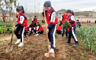 军马小学：课堂搬进“菜园”  学生变身“小菜农” 